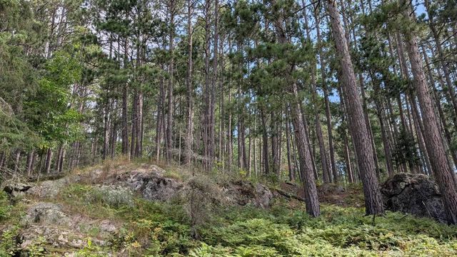 8884 Raps Road, Cook, MN 55723