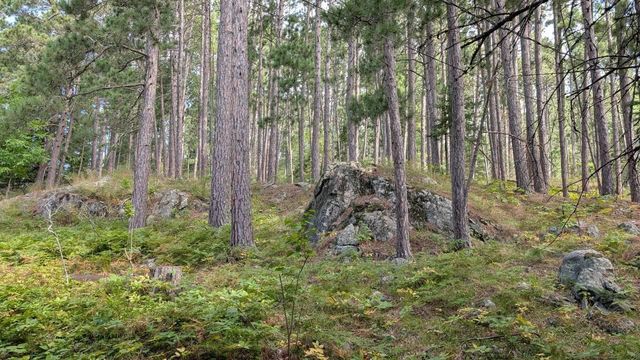 8884 Raps Road, Cook, MN 55723