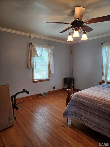 105 S Carleton Street, Farmington, MO 63640