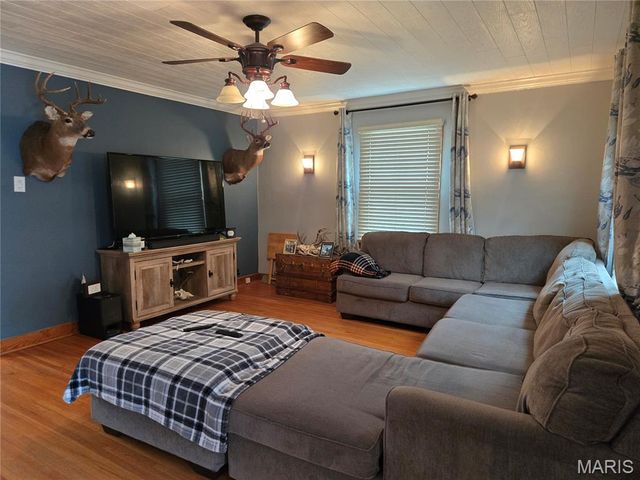 105 S Carleton Street, Farmington, MO 63640