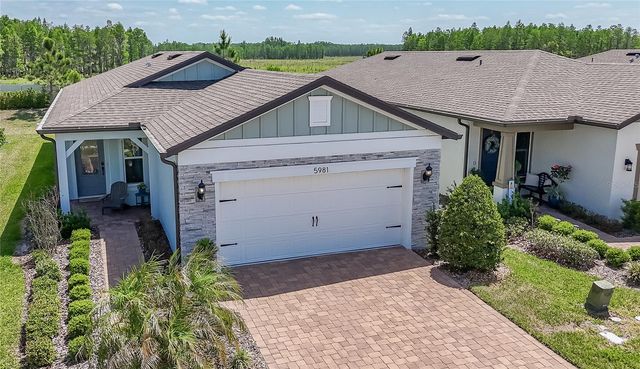 5981 SHOREBIRD BRANCH, Land O Lakes, FL 34638