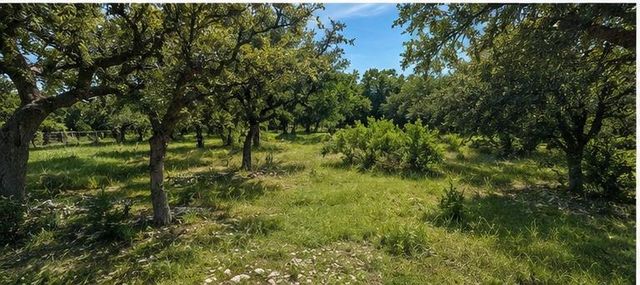 790 Private Road 905, Liberty Hill, TX 78642