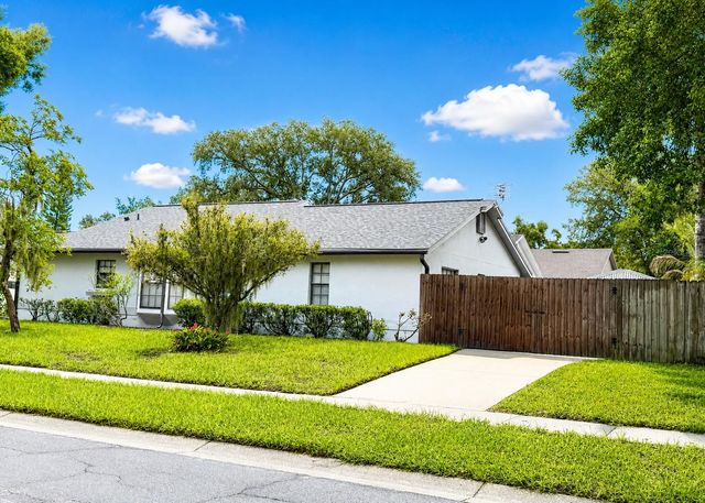 11301 MAYBROOK AVENUE, Riverview, FL 33569