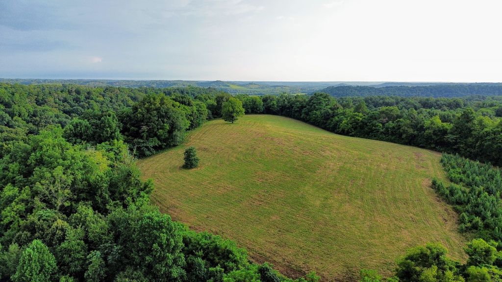 300 Milky Way Dr, Pulaski, TN 38478