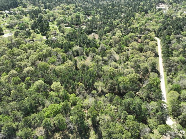 TBD Cr 351, Plantersville, TX 77363