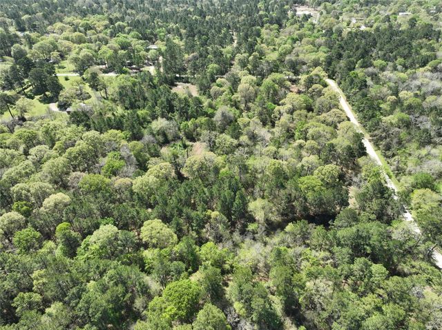 TBD Cr 351, Plantersville, TX 77363