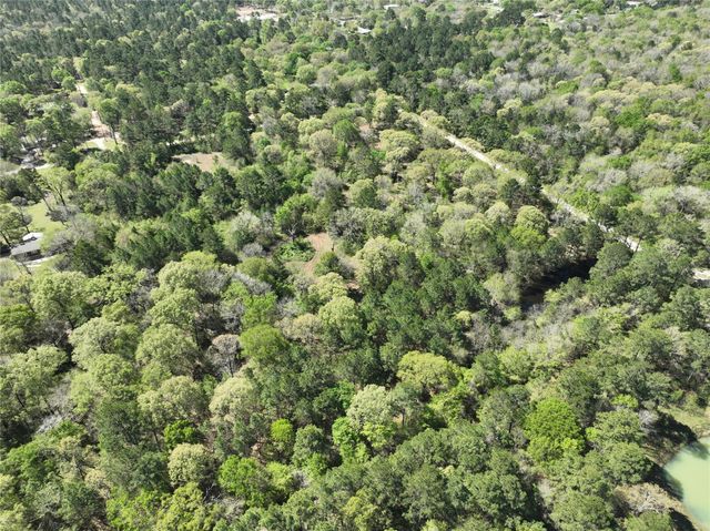 TBD Cr 351, Plantersville, TX 77363