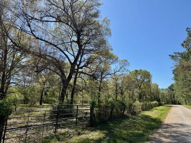 TBD Cr 351, Plantersville, TX 77363