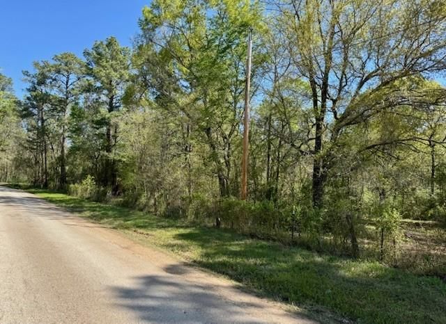 TBD Cr 351, Plantersville, TX 77363