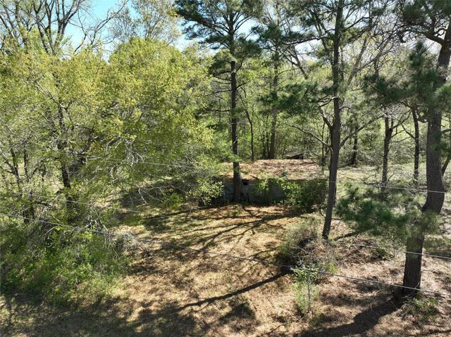 TBD Cr 351, Plantersville, TX 77363