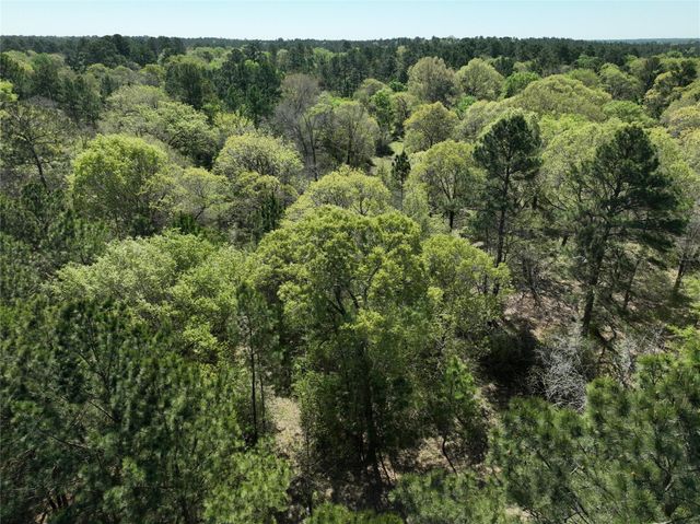 TBD Cr 351, Plantersville, TX 77363