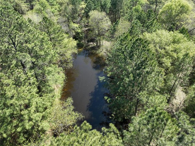 TBD Cr 351, Plantersville, TX 77363