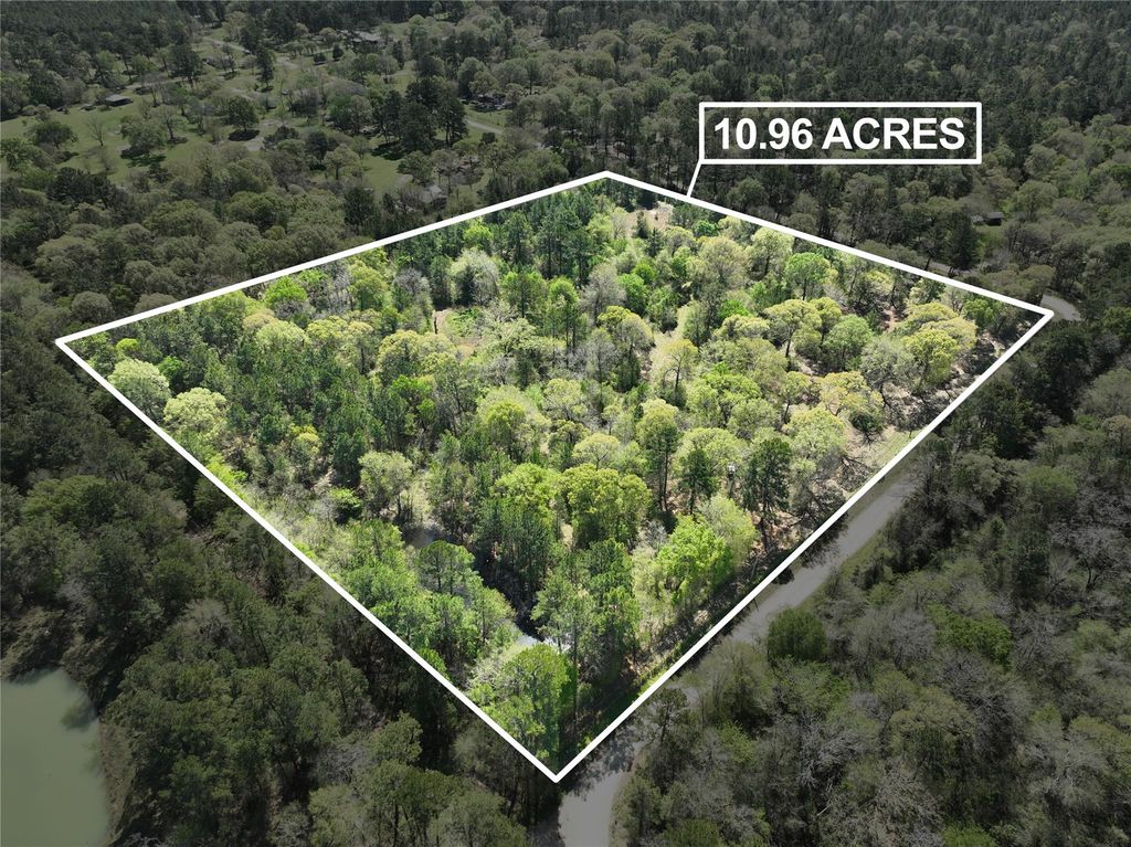 TBD Cr 351, Plantersville, TX 77363