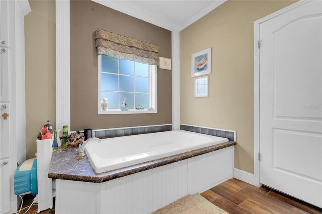 15339 LEE ROAD, Groveland, FL 34736