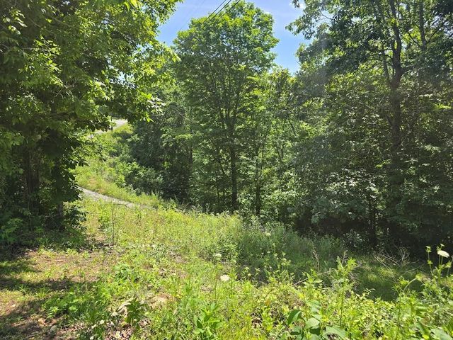 5413 Cookeville Hwy, Smithville, TN 37166
