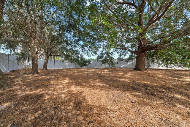 11112 GOLDENROD FERN DRIVE, Riverview, FL 33569