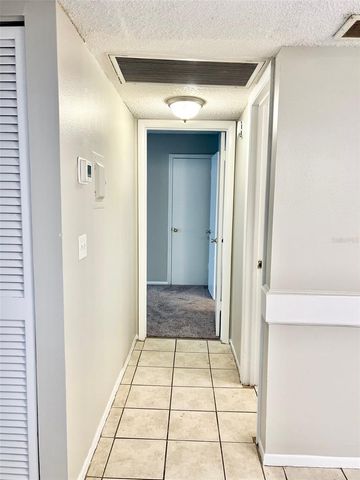 6065 VILLAGE CIRCLE 6065, Orlando, FL 32822