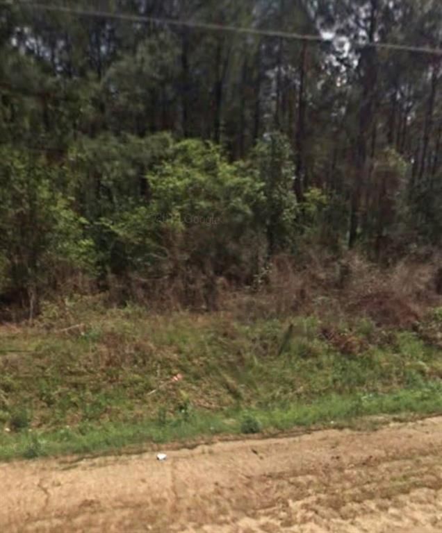 Image 2 of property listing at 000 WILLIE VARNUM Road, Dothan, AL 36301
