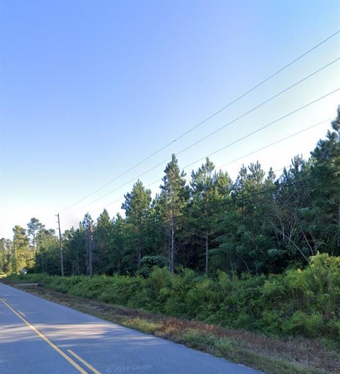 Image 4 of property listing at 000 WILLIE VARNUM Road, Dothan, AL 36301