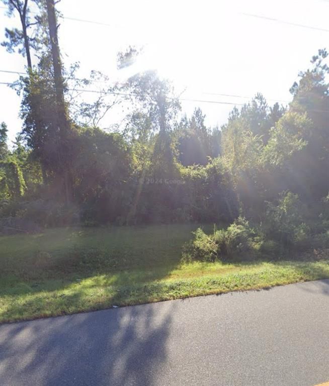 Image 5 of property listing at 000 WILLIE VARNUM Road, Dothan, AL 36301