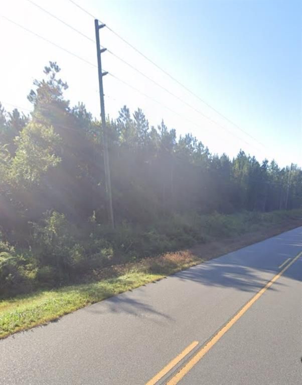 Image 6 of property listing at 000 WILLIE VARNUM Road, Dothan, AL 36301