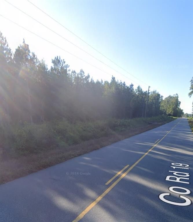 Image 7 of property listing at 000 WILLIE VARNUM Road, Dothan, AL 36301