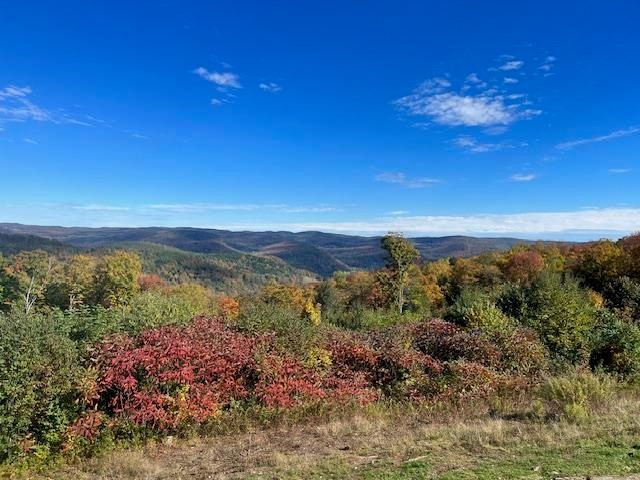 167 Ward Hill Road, Tunbridge, VT 05077