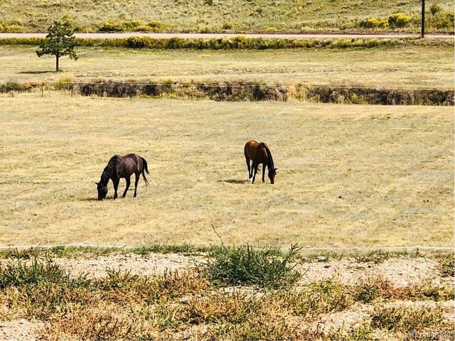 85 Excelsior Rd, Silver Cliff, CO 81252