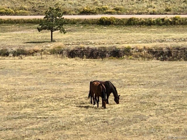 85 Excelsior Rd, Silver Cliff, CO 81252