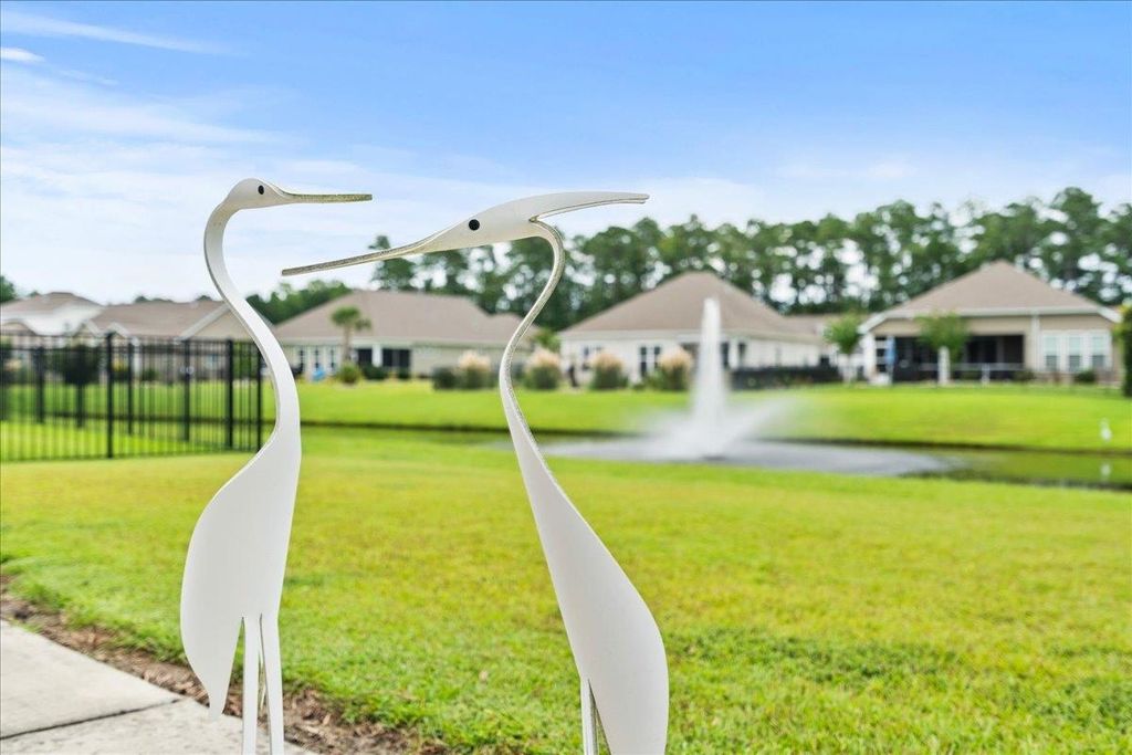 165 Bucky Loop, Murrells Inlet, SC 29576 — photo 4