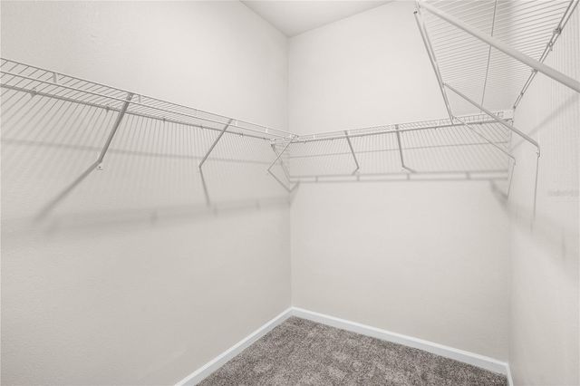 6449 SPRUCEPINE LANE, St Cloud, FL 34771