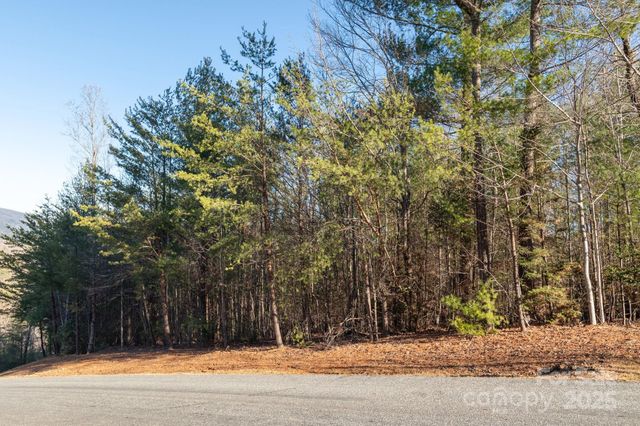 TBD Dockside Drive, Nebo, NC 28754