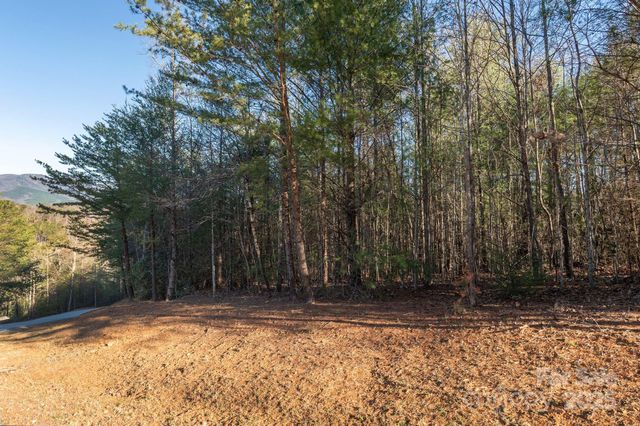 TBD Dockside Drive, Nebo, NC 28754