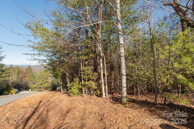 TBD Dockside Drive, Nebo, NC 28754