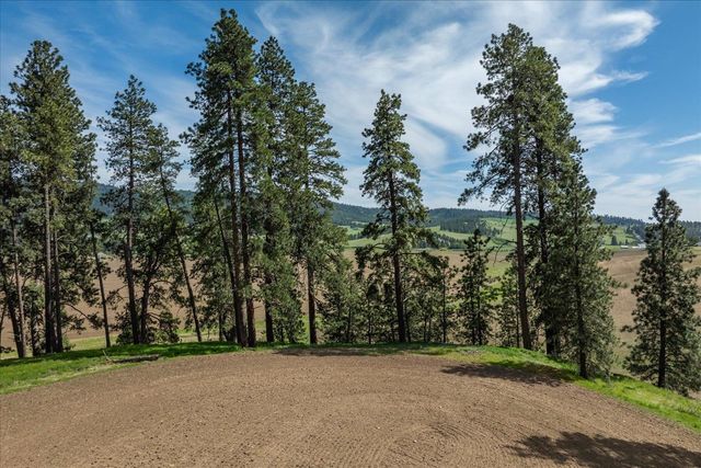00XXX Jackson Rd, Lot 17, Mica, WA 99023