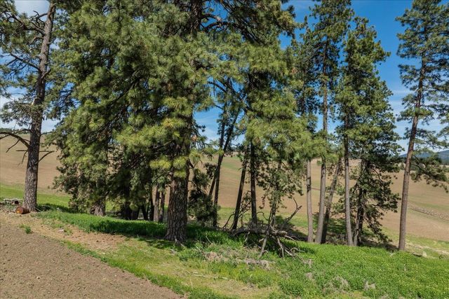00XXX Jackson Rd, Lot 17, Mica, WA 99023