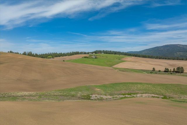 00XXX Jackson Rd, Lot 17, Mica, WA 99023