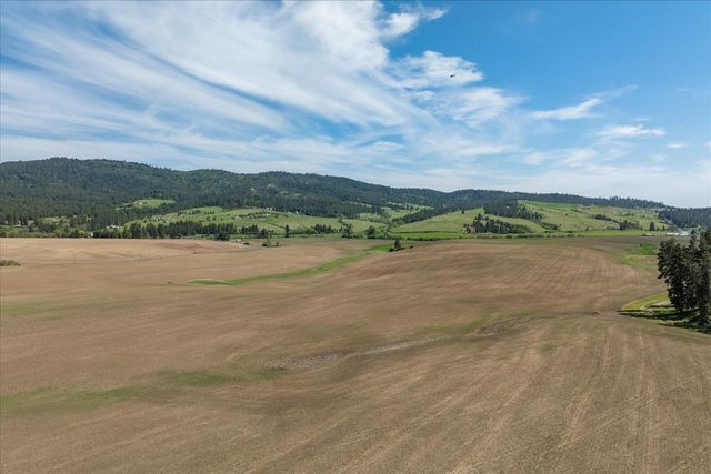 00XXX Jackson Rd, Lot 17, Mica, WA 99023