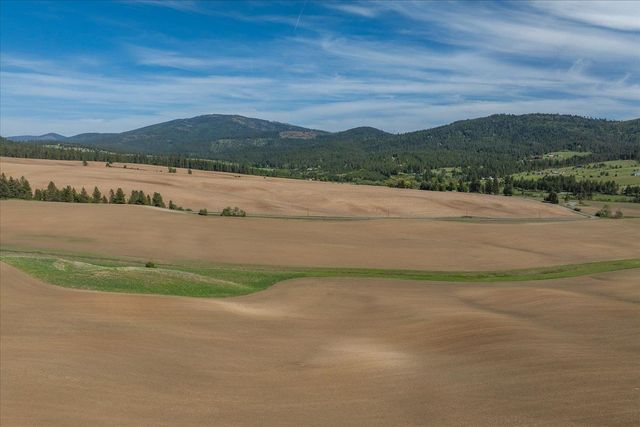 00XXX Jackson Rd, Lot 17, Mica, WA 99023