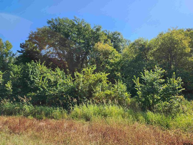 TBD HWY 110 N, Whitehouse, TX 75791