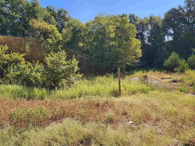 TBD HWY 110 N, Whitehouse, TX 75791