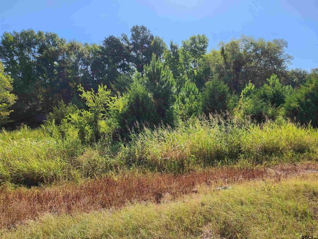 TBD HWY 110 N, Whitehouse, TX 75791