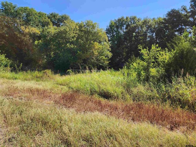 TBD HWY 110 N, Whitehouse, TX 75791