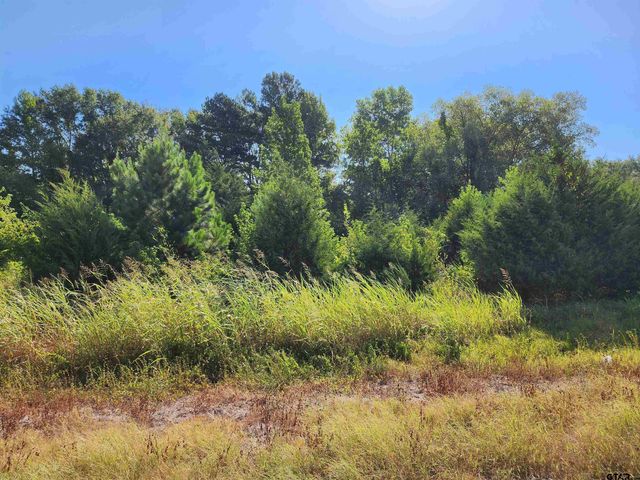 TBD HWY 110 N, Whitehouse, TX 75791