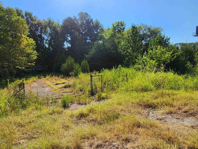 TBD HWY 110 N, Whitehouse, TX 75791