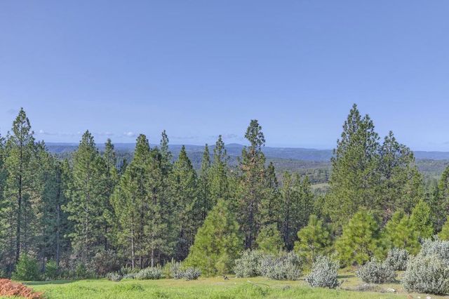 5901 Traverse Creek Rd, Garden Valley, CA 95633