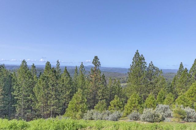 5901 Traverse Creek Rd, Garden Valley, CA 95633