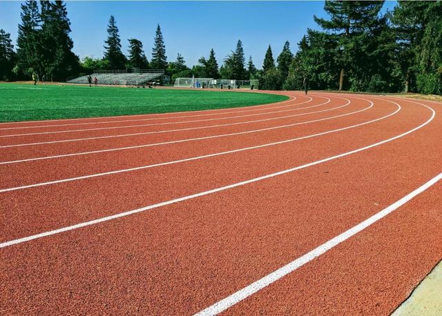 3773 Redwood Circle, Palo Alto, CA 94306