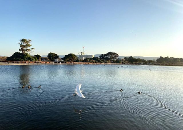 3773 Redwood Circle, Palo Alto, CA 94306