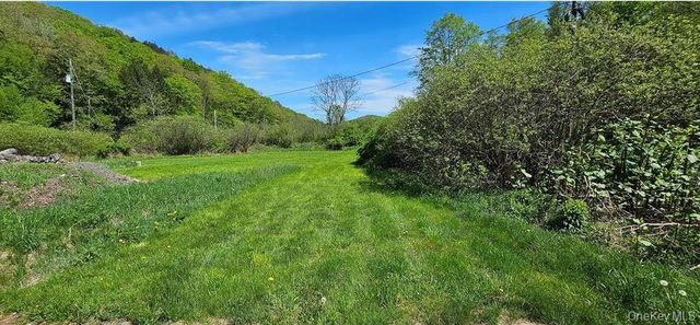 9003 County Hwy 28, Long Eddy, NY 12760